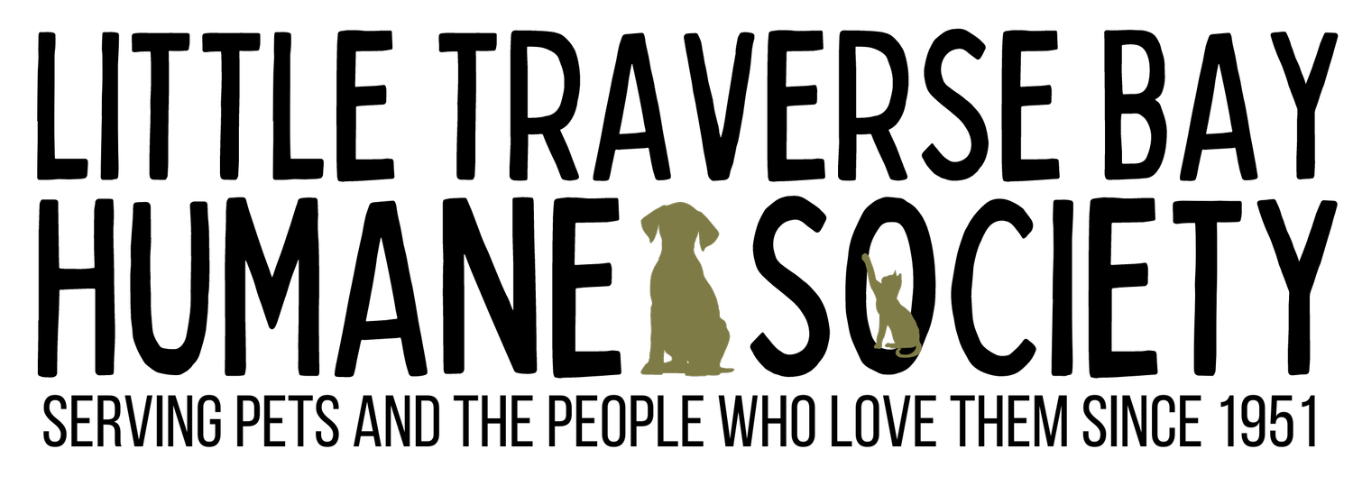 Logo Item